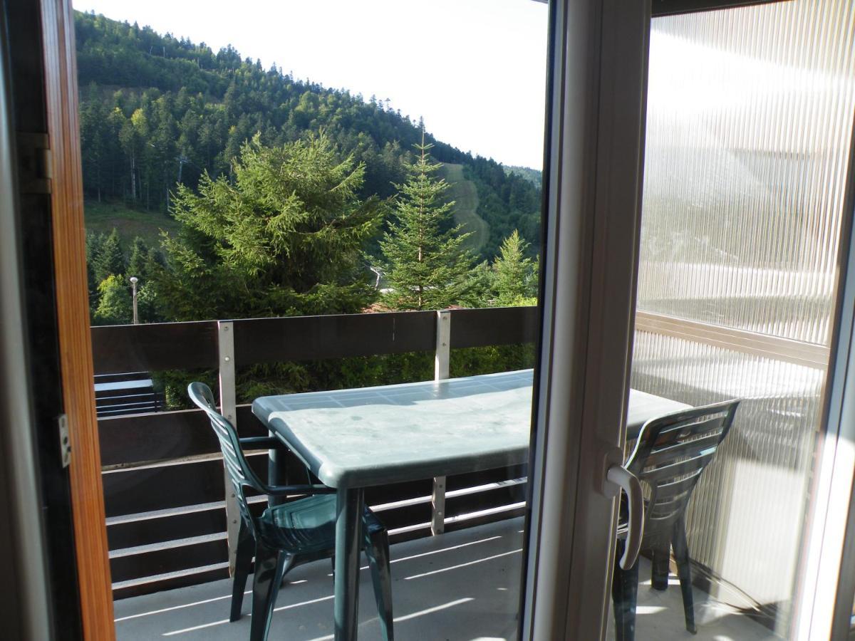 Appartement A La Montagne ,Vue Sur Les Pistes La Bresse Bagian luar foto