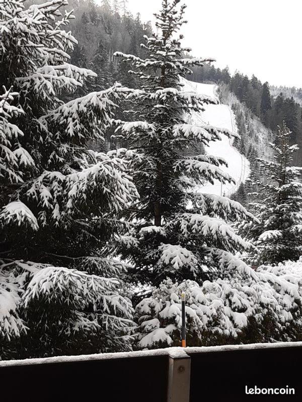 Appartement A La Montagne ,Vue Sur Les Pistes La Bresse Bagian luar foto