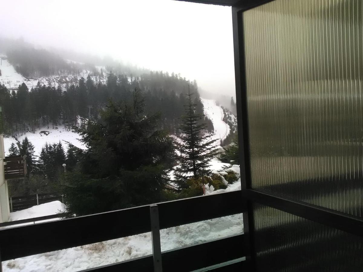 Appartement A La Montagne ,Vue Sur Les Pistes La Bresse Bagian luar foto